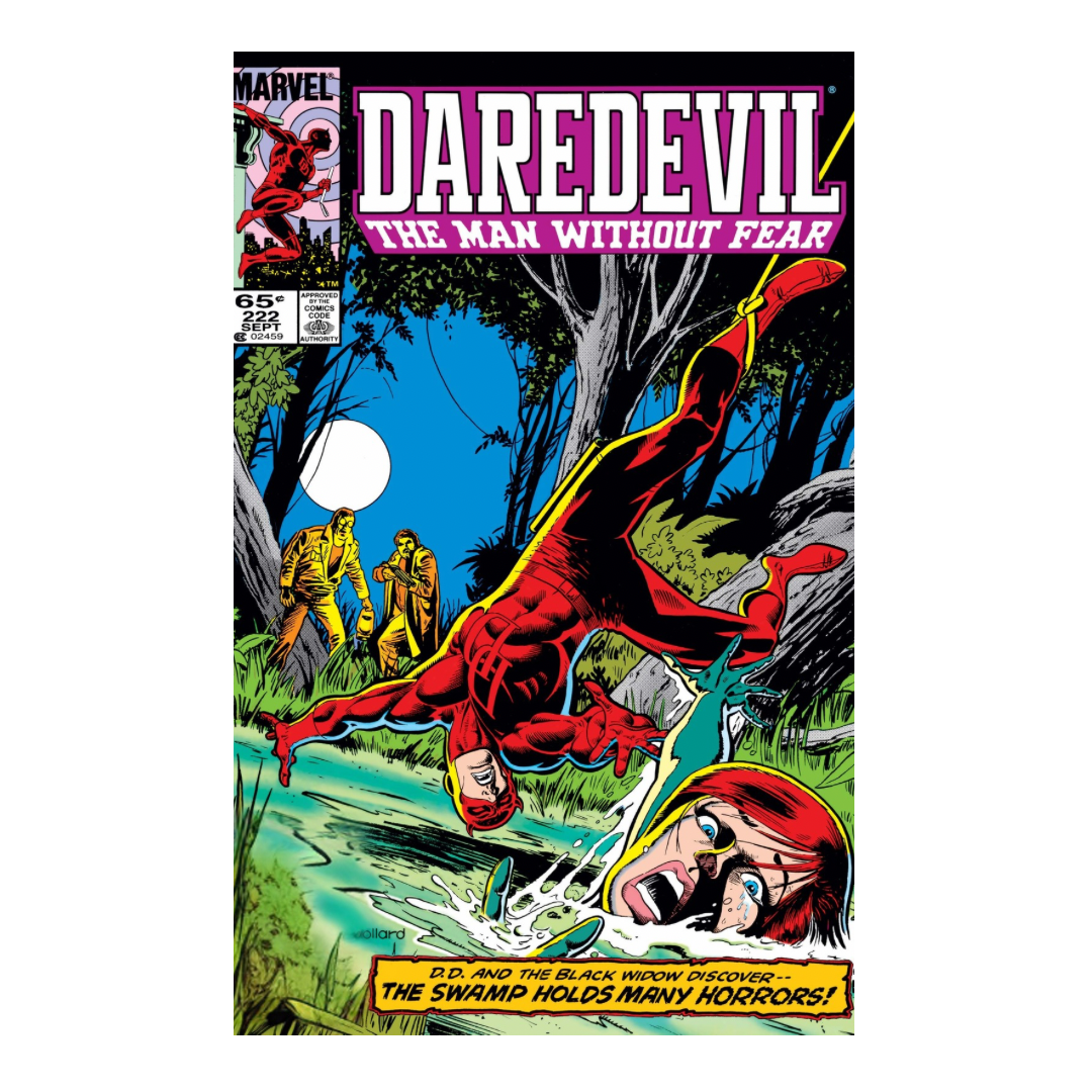 COMIC : DAREDEVIL - 1964 #222