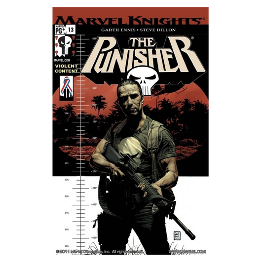 COMIC : PUNISHER - 2001 #13