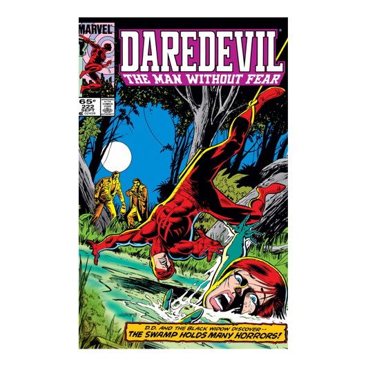 COMIC : DAREDEVIL - 1964 #222