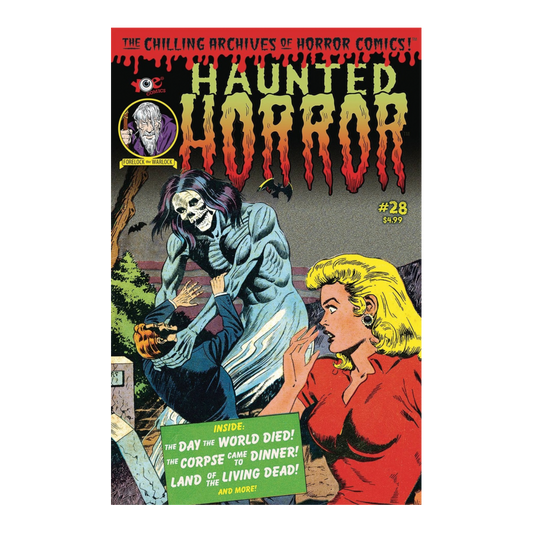 COMIC : HAUNTED HORROR - 2012 #28