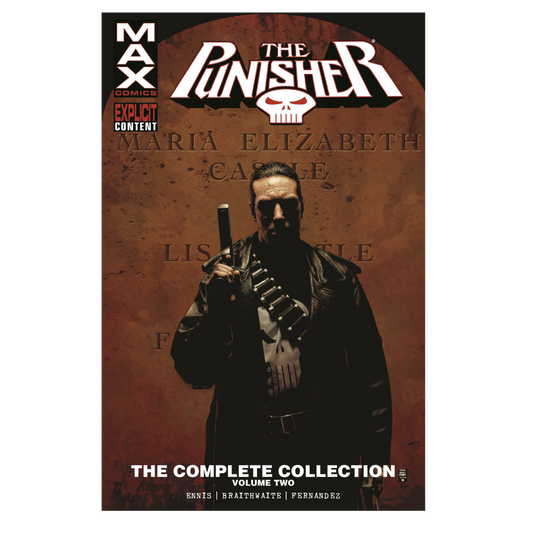 GRAPHIC NOVEL : PUNISHER, THE VOLUME 2