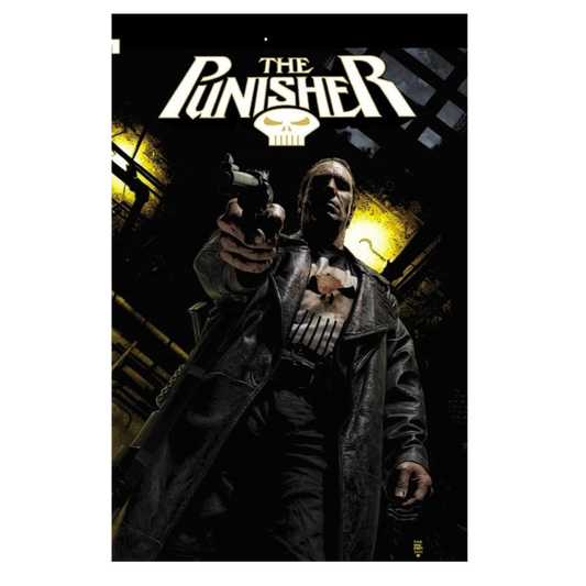 GRAPHIC NOVEL : PUNISHER, THE VOLUME 3